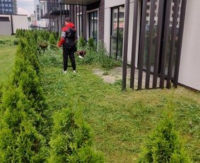 Aplinkos tvarkymo darbai prie gyvatvorės