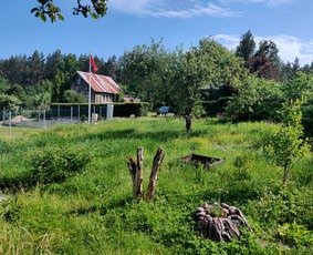 Sklypas prieš tvarkymą